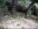 airsoft île de la réunion