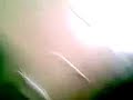 corre gato corre!!!