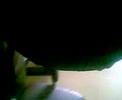 corre gato corre!!!
