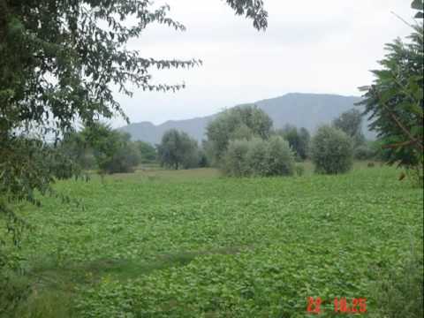 Kurram Agency Parachinar FATA