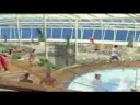 Oasis of the Seas Part 3 - Cruiseguy.com Oasis of the Seas Part 3 - Cruiseguy.com