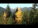 [Whistler real estate] Must See! Sunridge Properties Tour