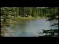 Alberta Mountain Picnic and Interpretative Walk