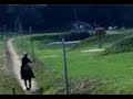 Horsearcher