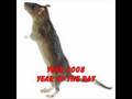 Year 2008, Year Of The Rat