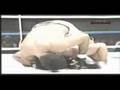 Rafael Sapo VS Indio ( Brazlian Top Team)