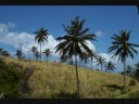 St. Kitts Slides St. Kitts Slides