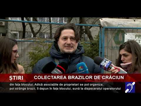 Colectarea brazilor de Crăciun