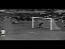 Pelé - O Rei do Futebol Pelé - O Rei do Futebol