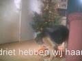 Soms zijn wij te laat