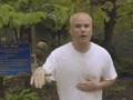 Eminem Parody I'm Sorry Llama - Tim Shady
