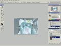 OT: Rothschild seizure video