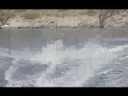 videos Wakeboard