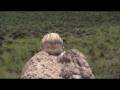 videos de Mungarri HD