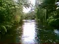 River of Light, River of Souls