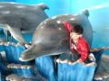 videos de bobby in ocean park