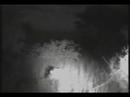 WILDEARTH DJUMA MAPOGO MATING COUPLE
