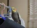 ミッキーマウスマーチ