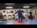 videos de blue belt grading 11