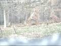 Hunting with my son in Baltimore County, Maryland