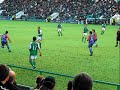 famous edinburgh hibees