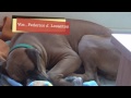 Click here to watch this video 