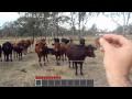 Click here to watch this video Real Life Minecraft - Sad Cow Carnage