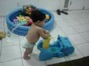 Alvinho andando com hipopótamo