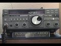 PILE UP EM 27 MHZ