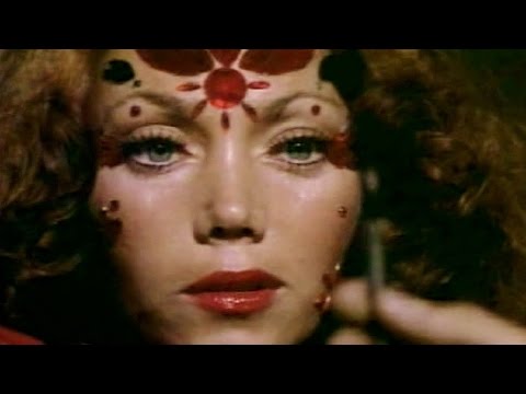 kitten natividad