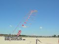 Campeonato Andalucia vuelo de cometas Acrobaticas Campeonato Andalucia vuelo de cometas Acrobaticas