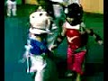 Tae Kwon Do Master (3 yr old boy) Tae Kwon Do Master (3 yr old boy)