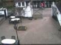 videos de Planten dief betrapt door beveiliging camera