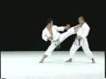 Kagawa Karate Yoko Geri Kekomi