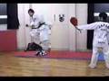 Yasutaka and Taekwondo 540°turning wheel kick