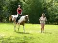 Horseback Riding at George's Farm III