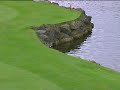 The luckiest golf shot ever-- Darren Clarke