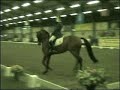 Bente Schuyt & Miami van de Beurshoeck