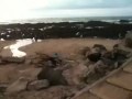 Low Tide 2009