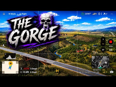 t1PvmGIJ6u8