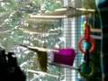 the great escape budgie style