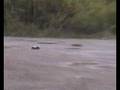 Brushless Mad Truck loses wheel