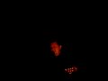 Musique au Camping Musique au Camping