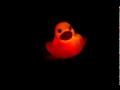 Light Up Duckie Light Up Duckie