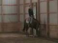 Late Night Impulse - 03 AQHA Gelding