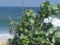 SURFINDERS - SALINA CRUZ SURF JULY/08 - surfinders@gmail.com