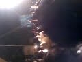 alan en la arrolladora