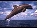 Medwyn Goodall - Shared Words