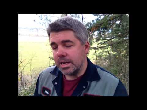 how to self attested documents