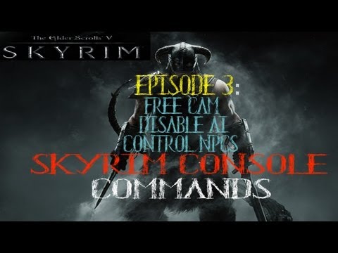 how to control npcs in skyrim